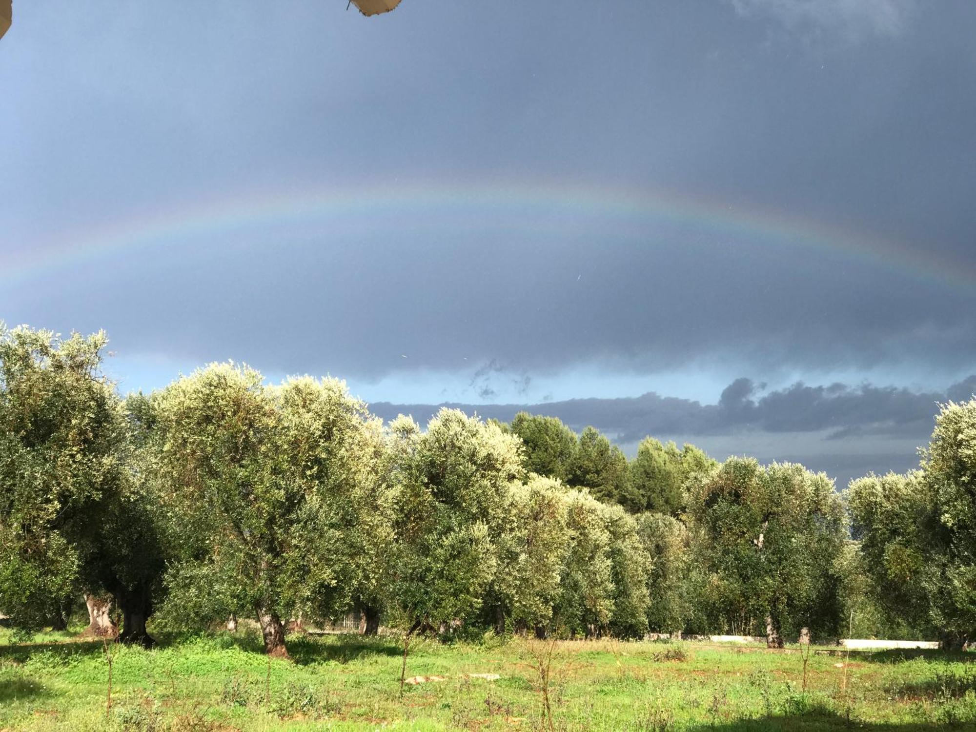 אוסטוני Tenuta La Pomona מראה חיצוני תמונה
